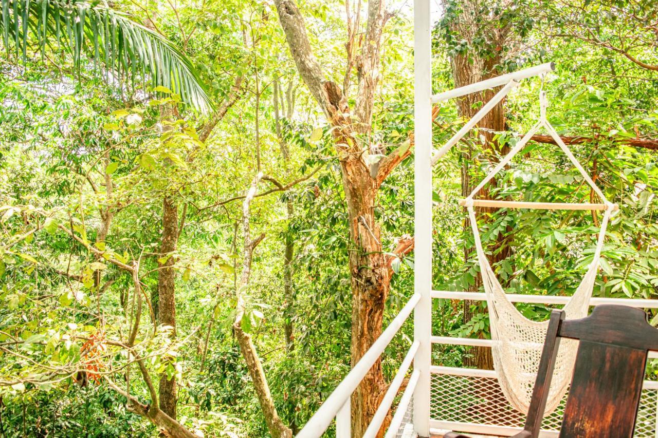 Casa Valentina - Ocean, Nature, Relax, Central Quepos Extérieur photo